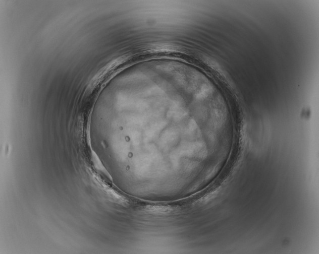 X0000111360825200907241220