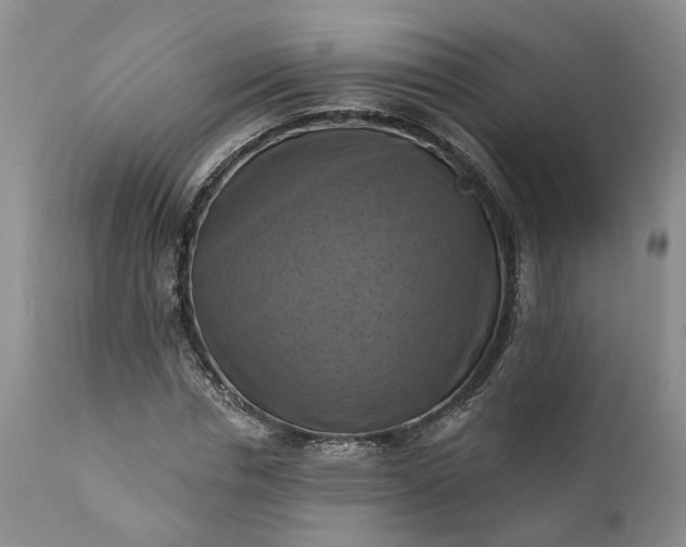 X0000111360826200907241220