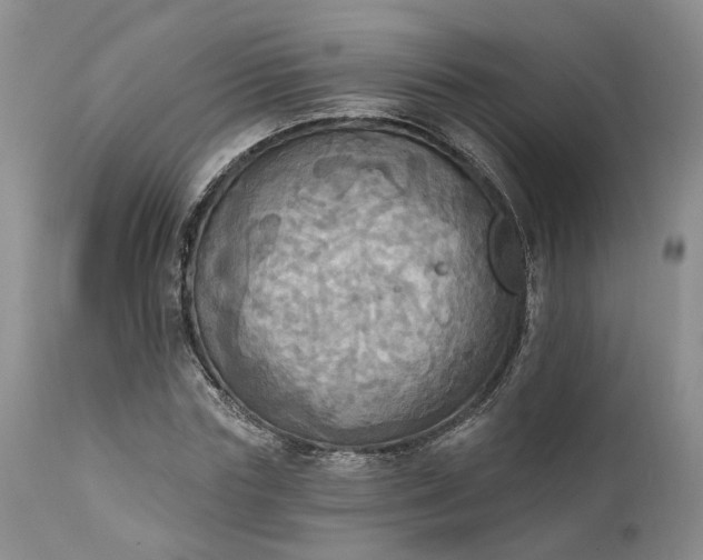 X0000111360827200907241220
