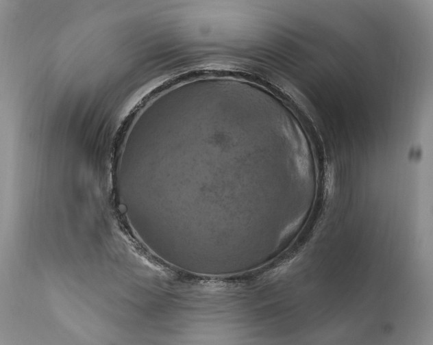 X0000111360829200907241220
