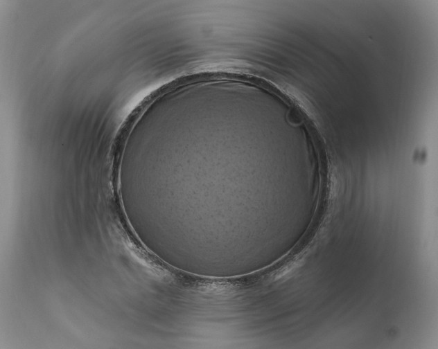 X0000111360830200907241220