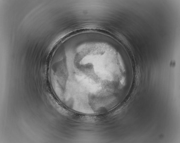X0000111360831200907241220