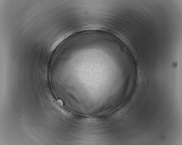 X0000111360834200907241220