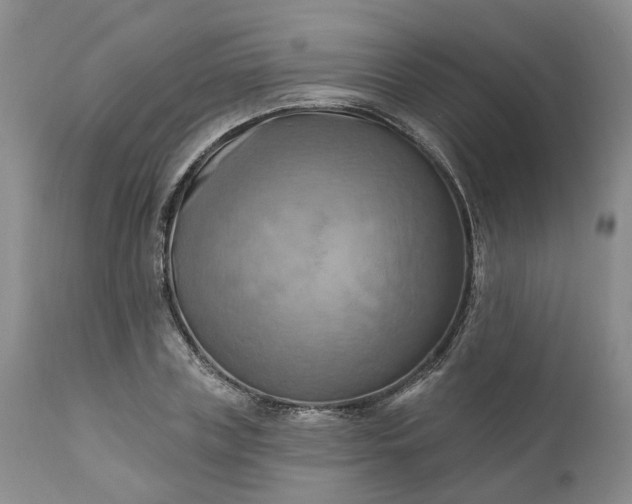 X0000111360835200907241220
