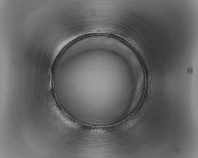 X0000111360838200907241220