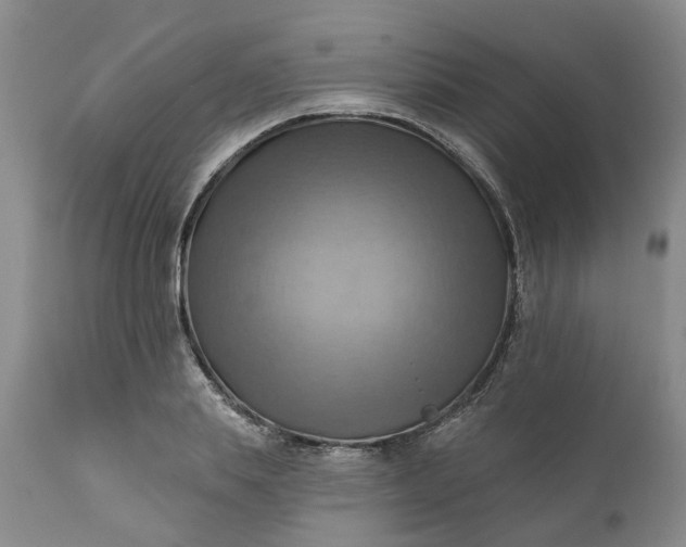 X0000111360839200907241220