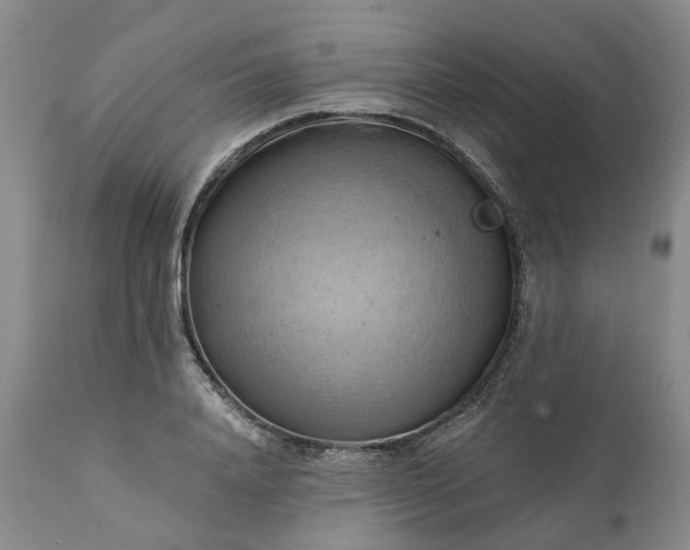 X0000111360840200907241220