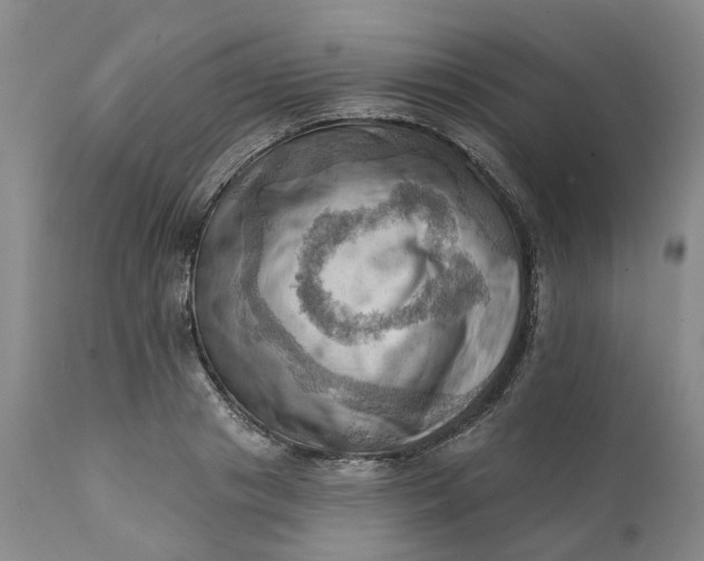 X0000111360841200907241220