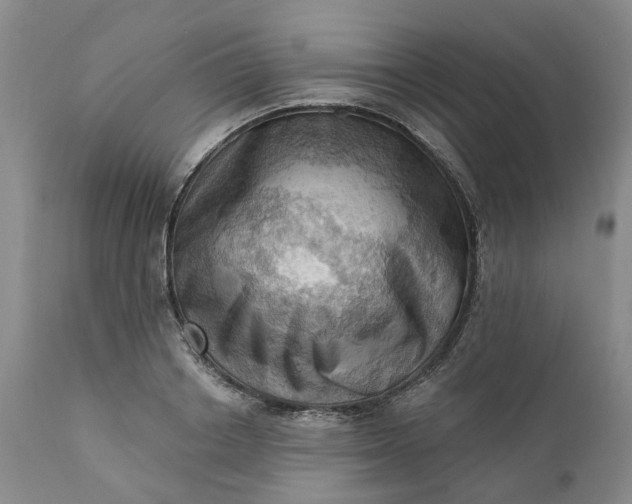 X0000111360842200907241220