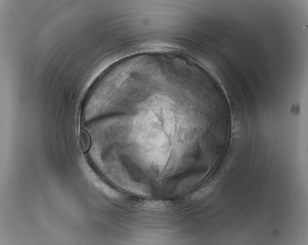 X0000111360843200907241220