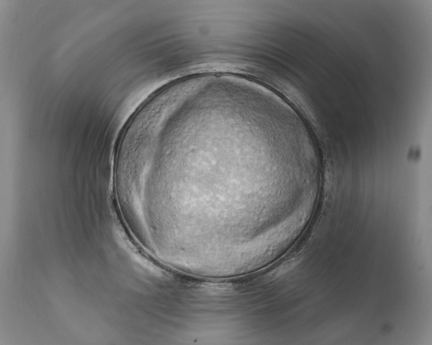 X0000111360844200907241220