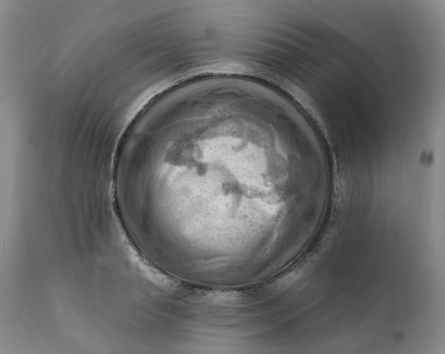 X0000111360845200907241220