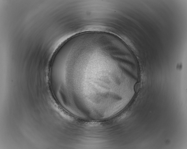 X0000111360846200907241220