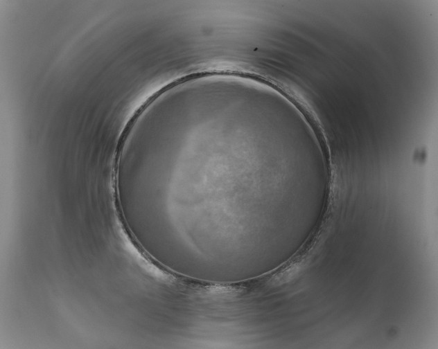 X0000111360847200907241220