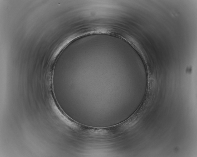X0000111360851200907241220
