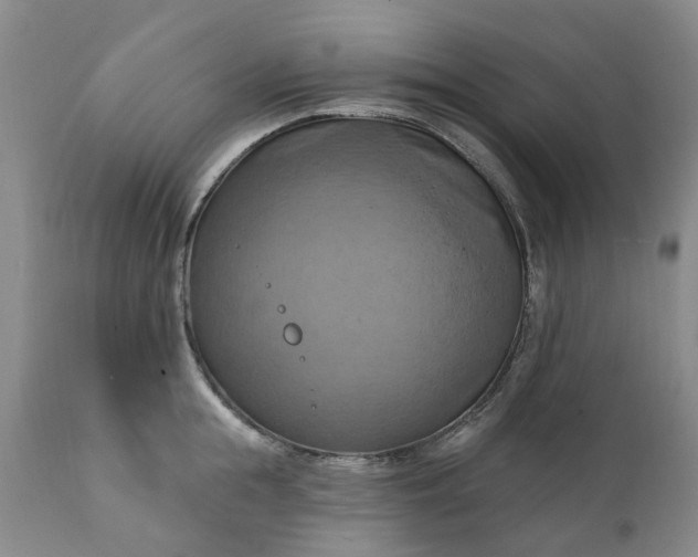 X0000111360855200907241220