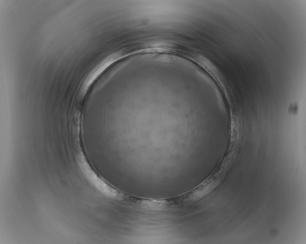 X0000111360859200907241221