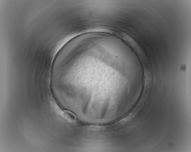 X0000111360860200907241221