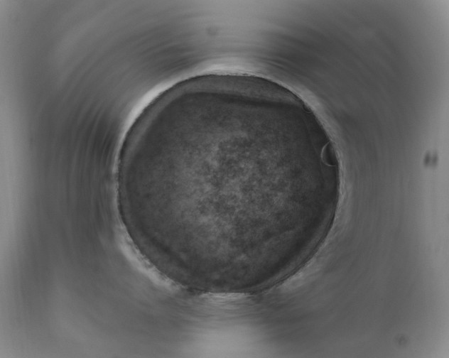 X0000111360864200907241221