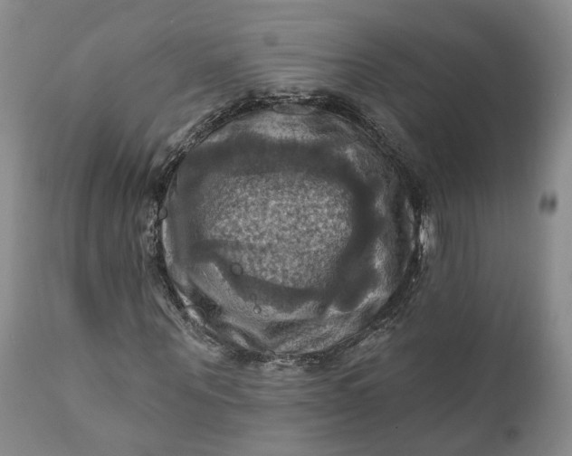 X0000111360867200907241220