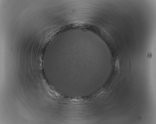 X0000111360868200907241220