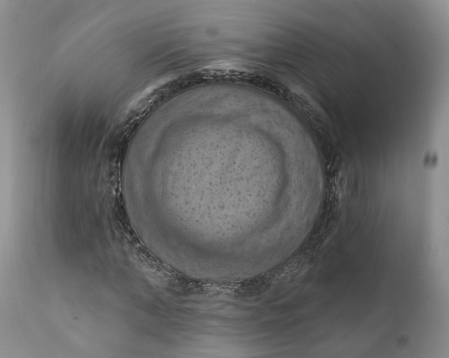 X0000111360870200907241220