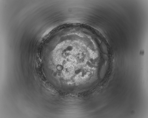 X0000111360871200907241220