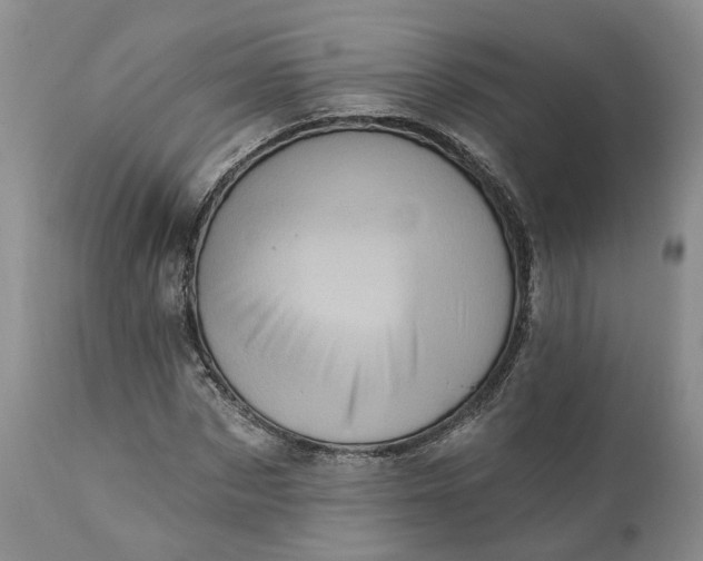 X0000111360873200907241220