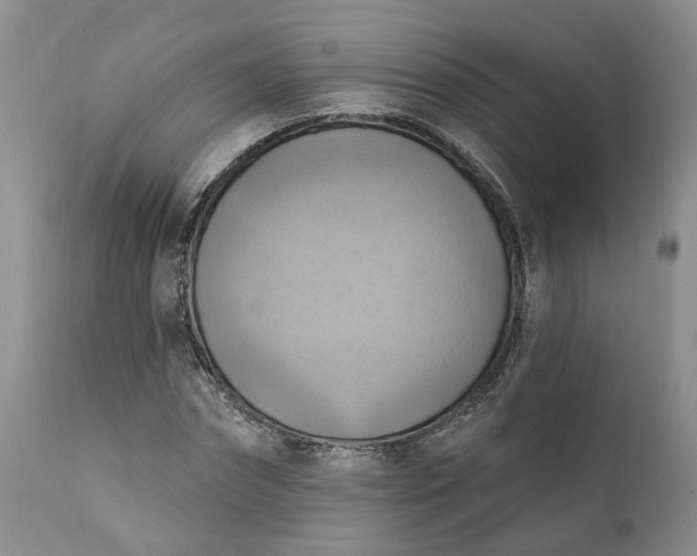 X0000111360874200907241220