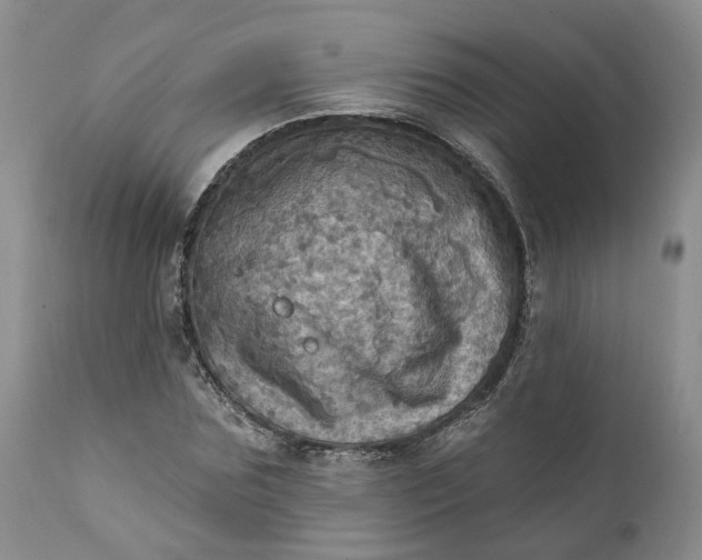 X0000111360875200907241220