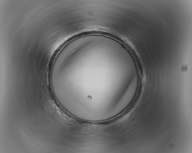 X0000111360877200907241220