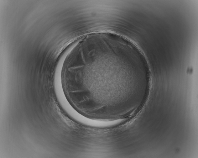 X0000111360881200907241220