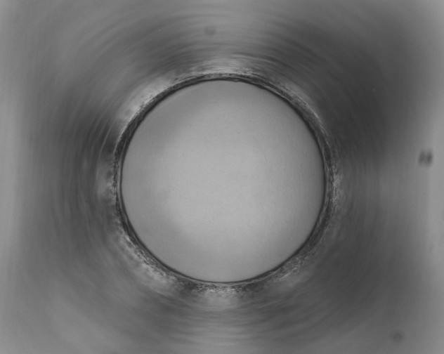 X0000111360882200907241220