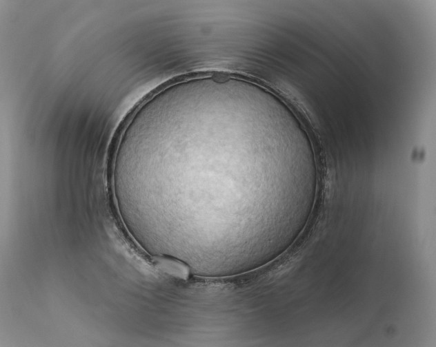 X0000111360884200907241219