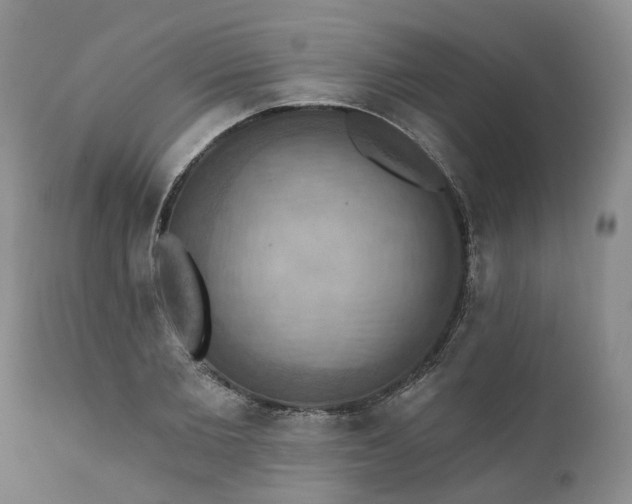 X0000111360885200907241219
