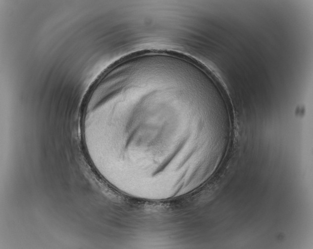 X0000111360887200907241219