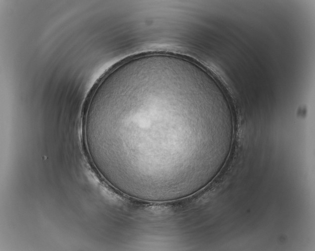 X0000111360888200907241219