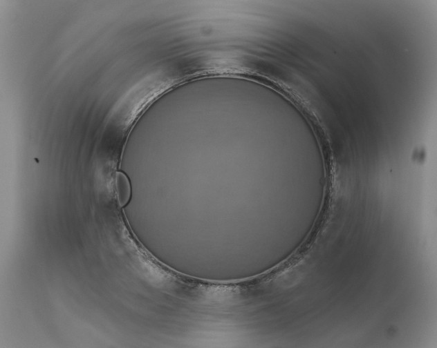 X0000111360889200907241219