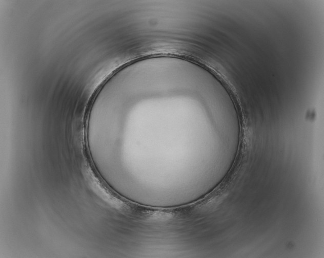 X0000111360890200907241219