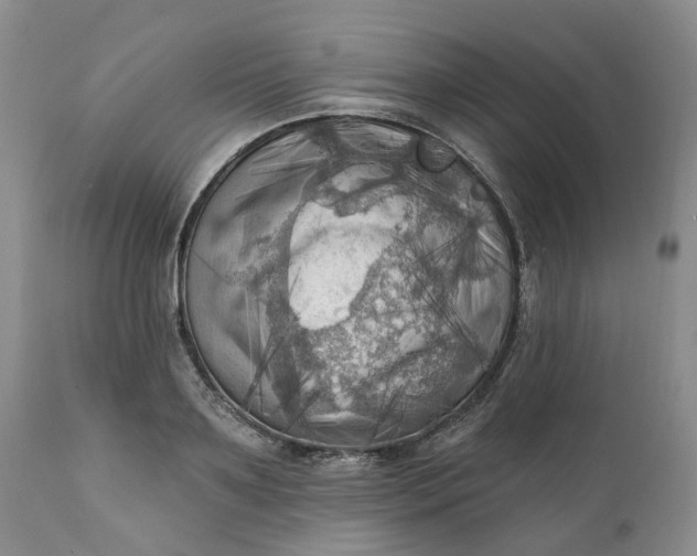 X0000111360891200907241219