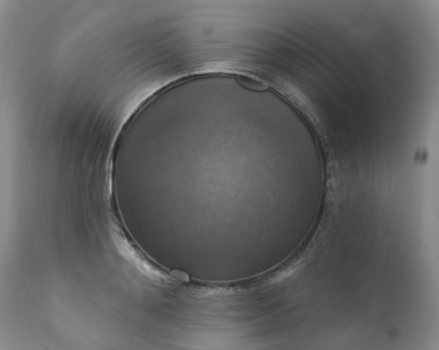 X0000111360892200907241219