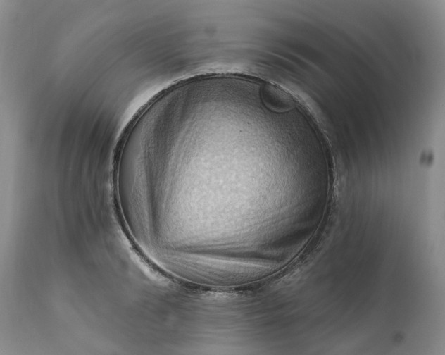 X0000111360894200907241219