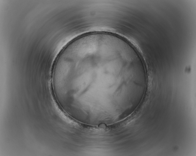 X0000111360895200907241219