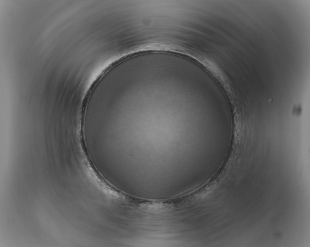 X0000111360896200907241219