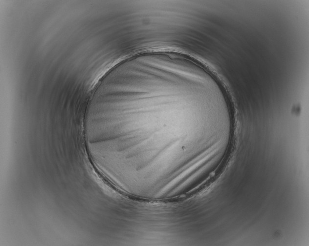 X0000111360897200907241219