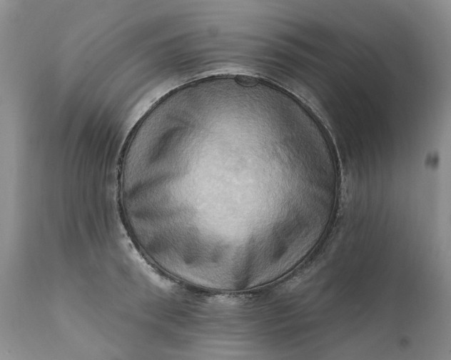 X0000111360898200907241219