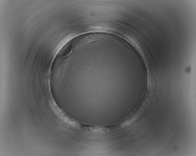 X0000111360899200907241219