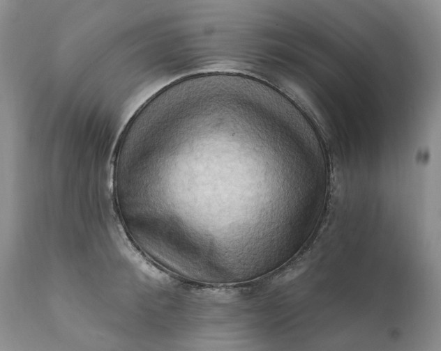 X0000111360900200907241219