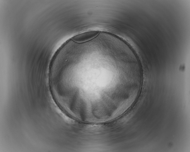 X0000111360902200907241219