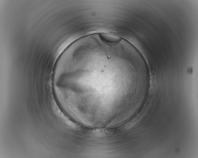 X0000111360906200907241219